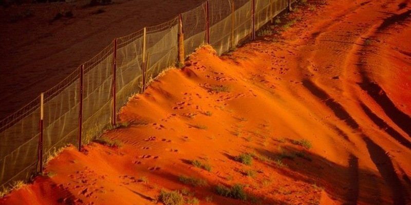 Что скрывает Австралийская стена?
