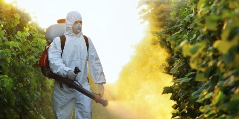 Bayer и Syngenta скрыли, что их пестициды токсичны для мозга