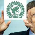 Логотип лягушки и Билл Гейтс: что за этим стоит?