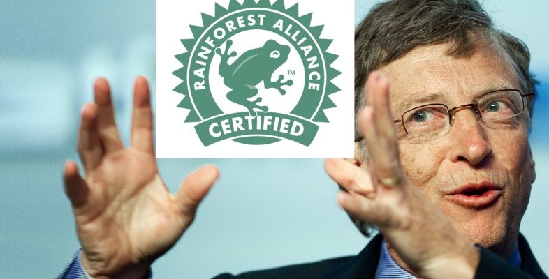 Логотип лягушки и Билл Гейтс: что за этим стоит?
