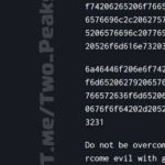 Что нашли в блоке №666 666 блокчейна BTC?