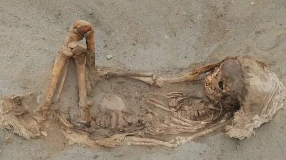 В файлах педофила Эпштейна упомянуты ритуальные жертвоприношения и расчленение младенцев 