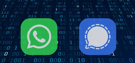 Signal и WhatsApp сливают данные пользователей 