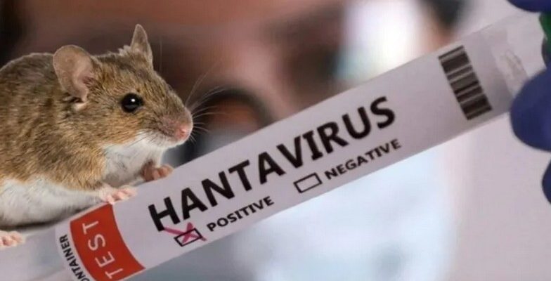 Хантавирус принесет миру еще одну пандемию? 