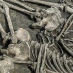 77 обезглавленных скелетов в Словакии: что известно о загадочном ритуале возрастом 7000 лет