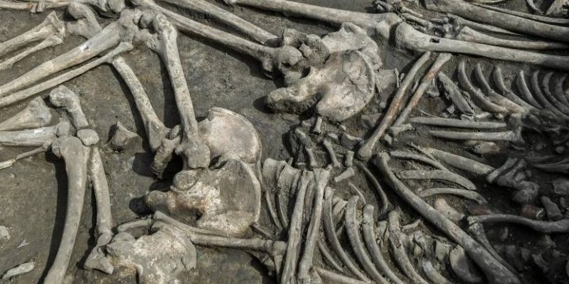 77 обезглавленных скелетов в Словакии: что известно о загадочном ритуале возрастом 7000 лет 