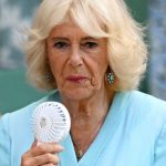 В Сети обсуждают скрытый смысл украшения королевы Камиллы