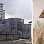 Черная плесень Чернобыля: действительно ли гриб питается радиацией?