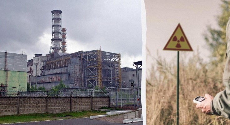 Черная плесень Чернобыля: действительно ли гриб питается радиацией? 