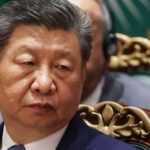 Си Цзиньпин стал объектом для создания теорий заговора после саммита БРИКС